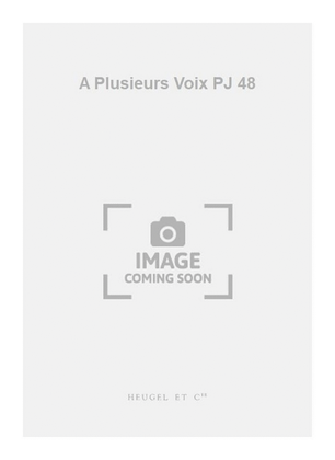 Book cover for A Plusieurs Voix PJ 48