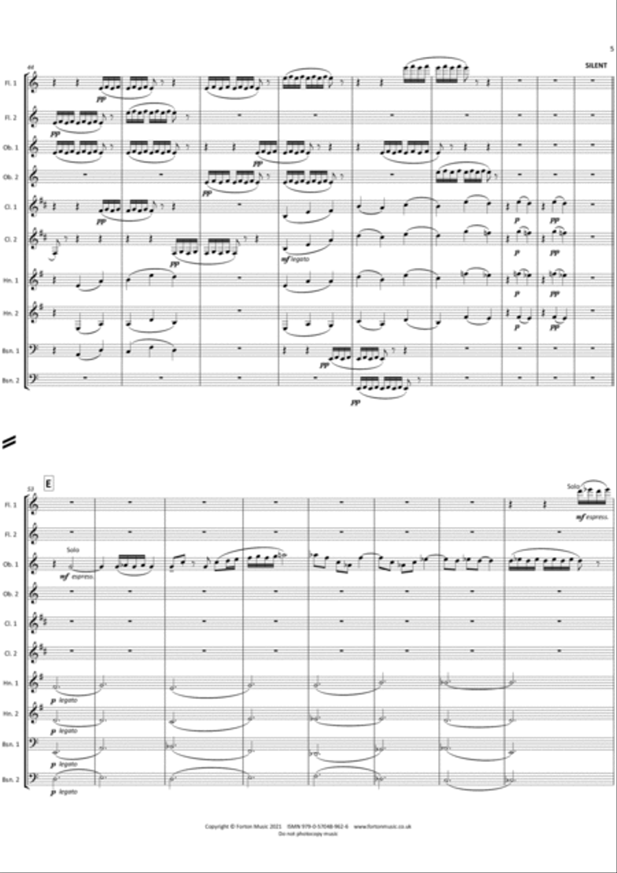 Like A Twisty, Turny Thing… Bassoon scores gallery preview page 5