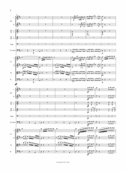 Double Bass Concerto "No. 1"