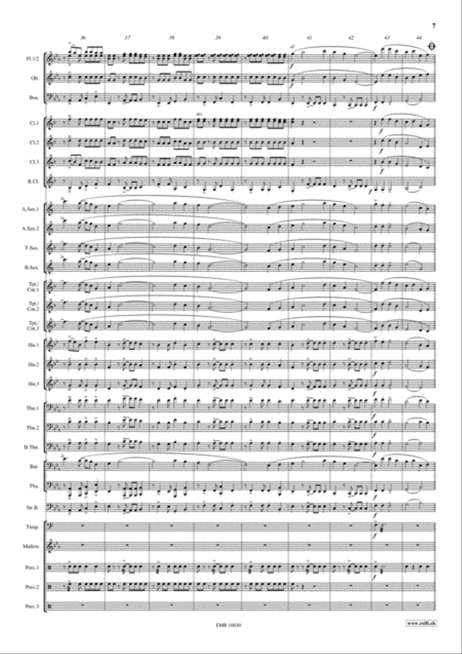 The Magnificent Seven The Magnificent Seven Concert Band scores gallery preview page 8