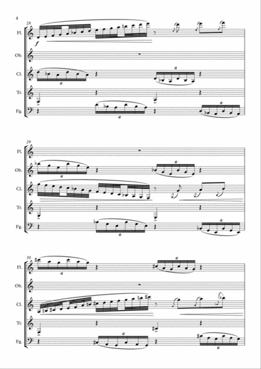 Variações Seresteiras (Woodwind quintet) Woodwind Quintet scores gallery preview page 4