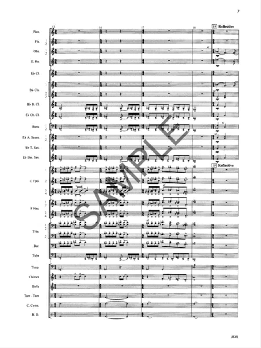 Aubrey Fanfare - Score Concert Band scores gallery preview page 20
