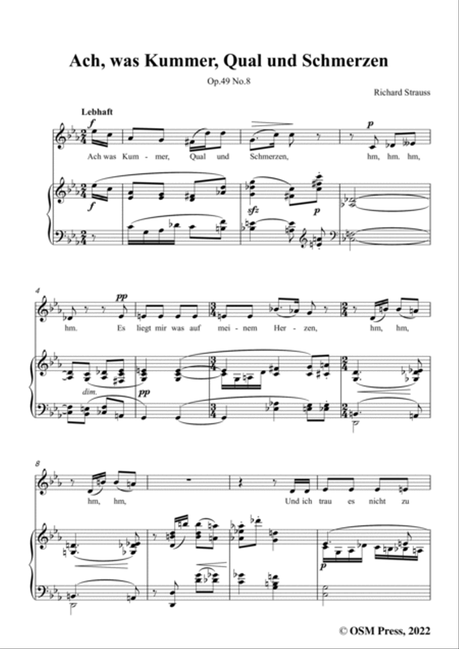 Richard Strauss-Ach,was Kummer,Qual und Schmerzen,in c minor Voice scores gallery preview page 3
