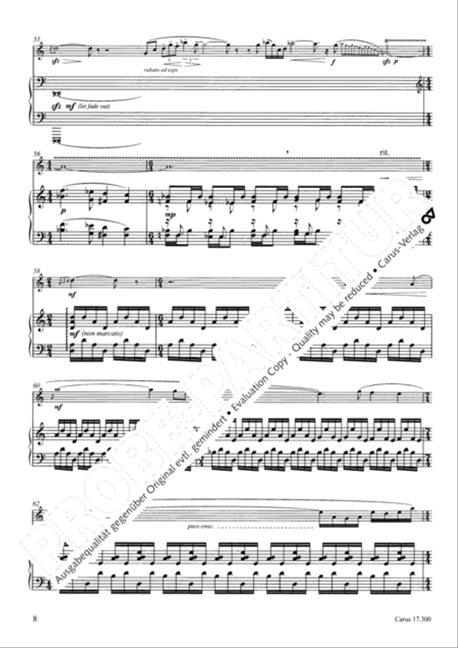 Subway Solitary Flute Solo scores gallery preview page 9