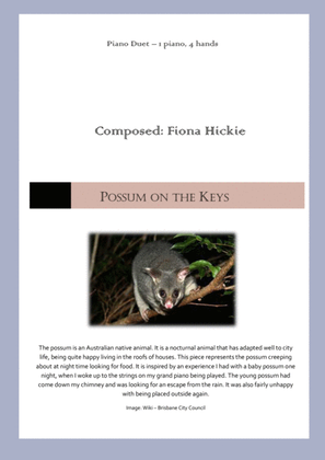 Book cover for Possum on the Keys