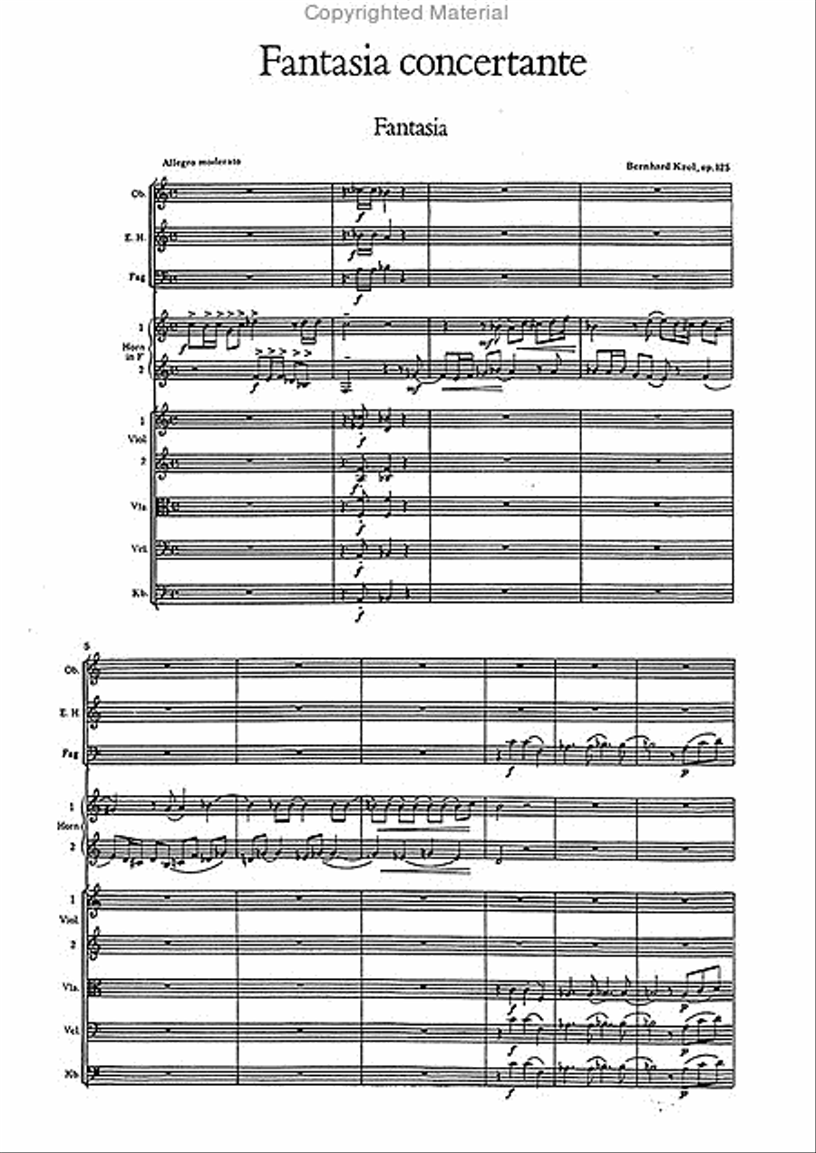 Fantasia concertante für zwei Hörner und Kammerorchester op. 125 (1992) Chamber Orchestra scores gallery preview page 2