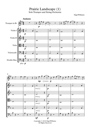 Prairie Landscape (1), for solo Trumpet in Bb and String Orchestra