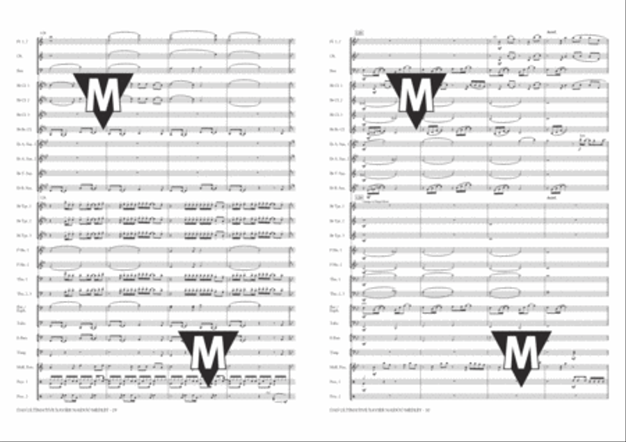 Das Ultimative Xavier Naidoo Medley Concert Band scores gallery preview page 16