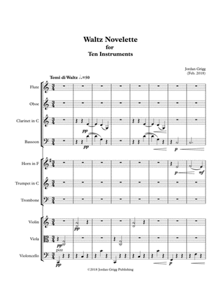 Book cover for Waltz Novelette for Ten Instruments