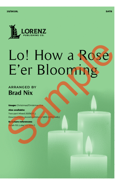 Lo! How a Rose E'er Blooming image number null