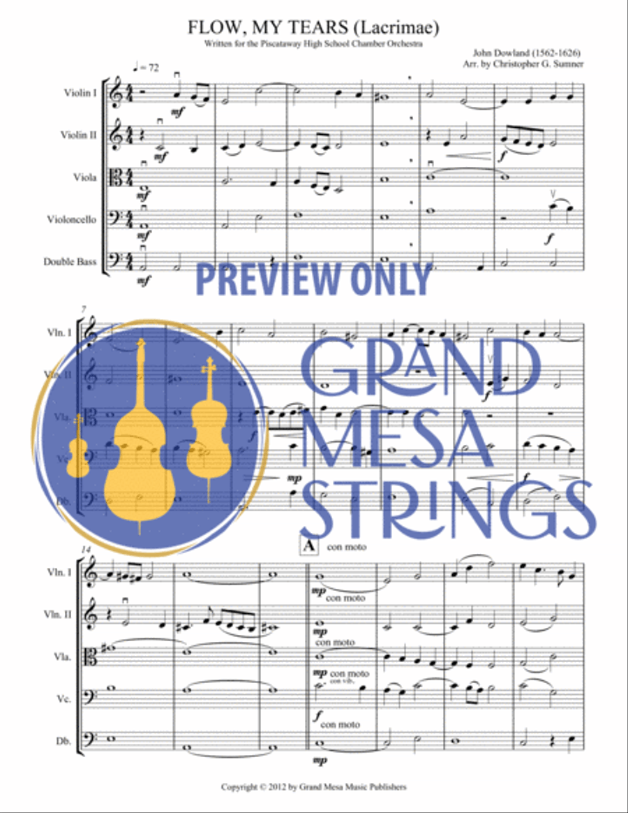 Flow, My Tears String Orchestra scores gallery preview page 2