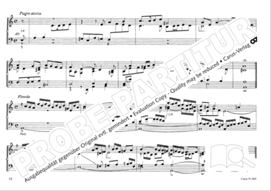 Musikalischer Blumenstrauss Organ Solo scores gallery preview page 21