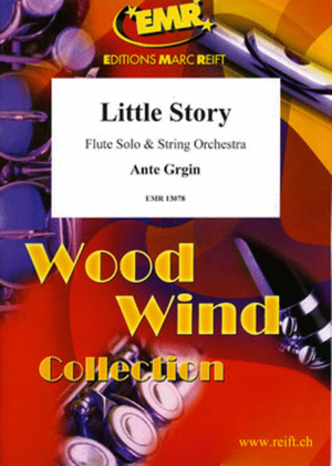 Book cover for Little Story