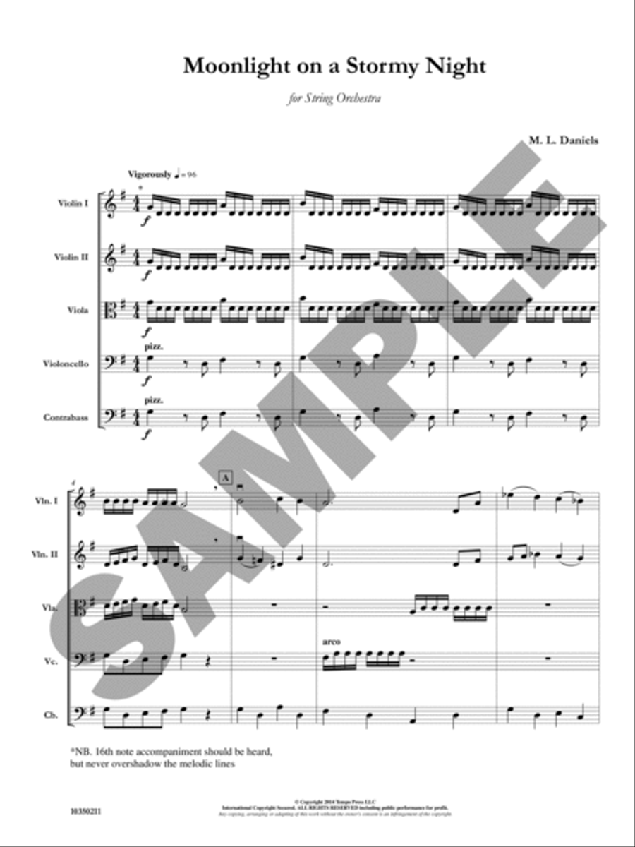 Moonlight on a Stormy Night Orchestra scores gallery preview page 2