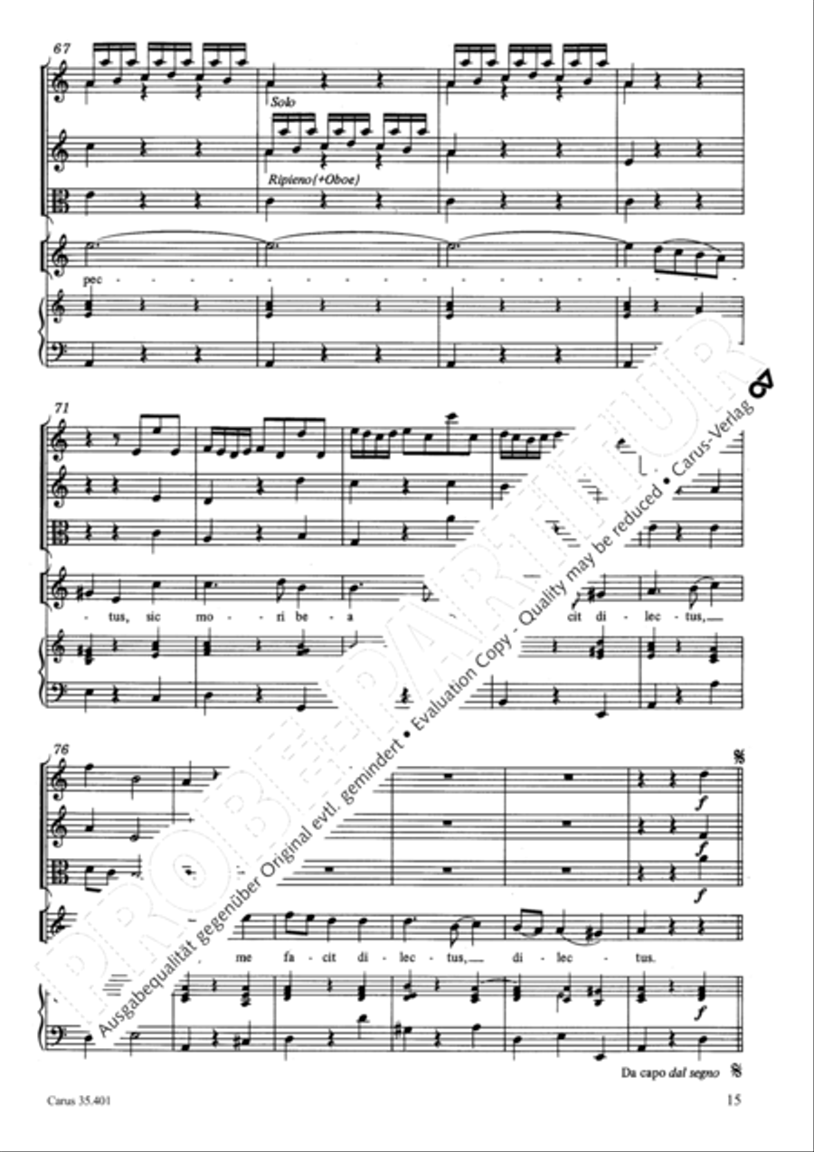 Languet anima mea Soprano Voice scores gallery preview page 18