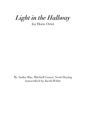 Book cover for Light In The Hallway