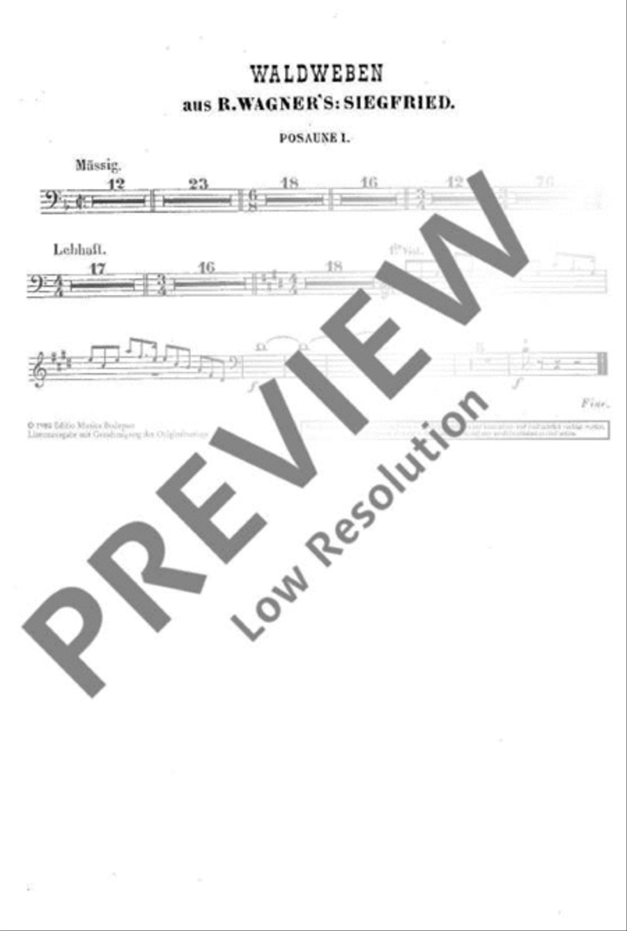 Siegfried Orchestra scores gallery preview page 20