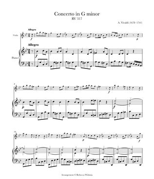 Book cover for Violin Concerto in G Minor, RV 317/Op. 12 No. 1