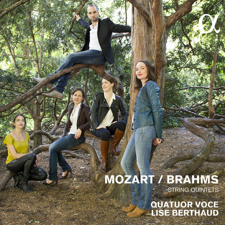 Mozart / Brahms: String Quartets image number null