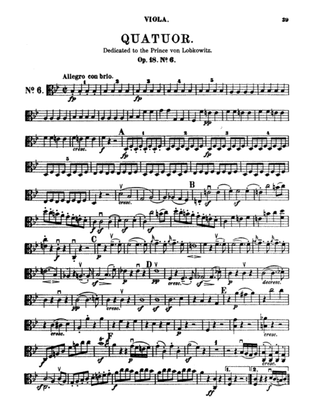 Book cover for Beethoven: String Quartet, Op. 18 No. 6
