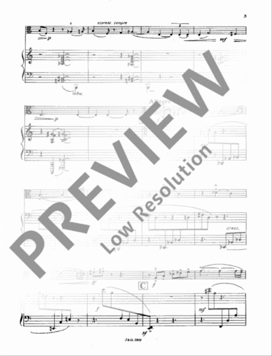 Sonata Piano Accompaniment scores gallery preview page 6