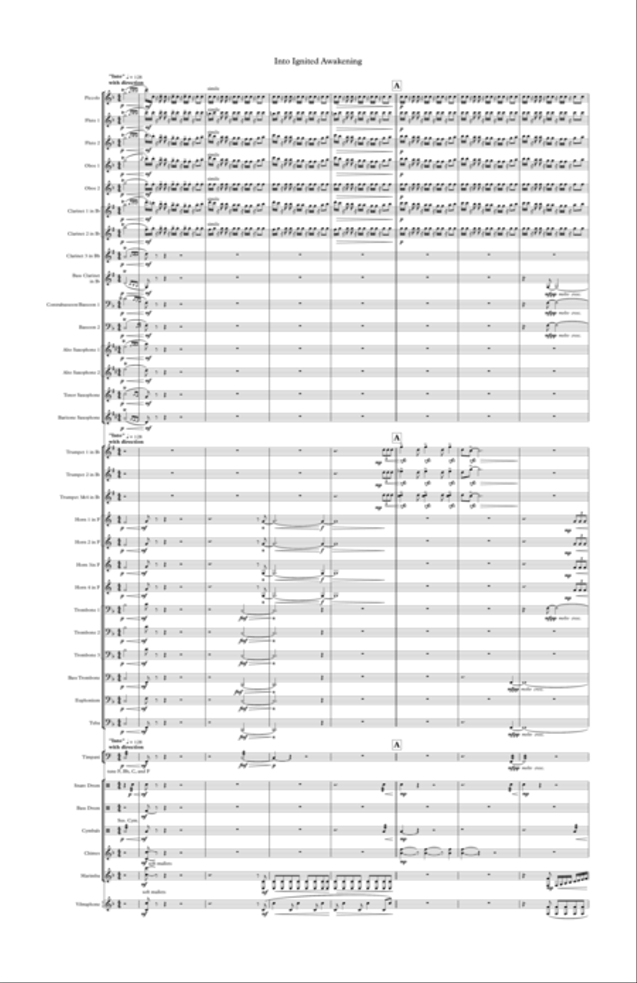 Into Ignited Awakening Into Ignited Awakening Concert Band scores gallery preview page 1