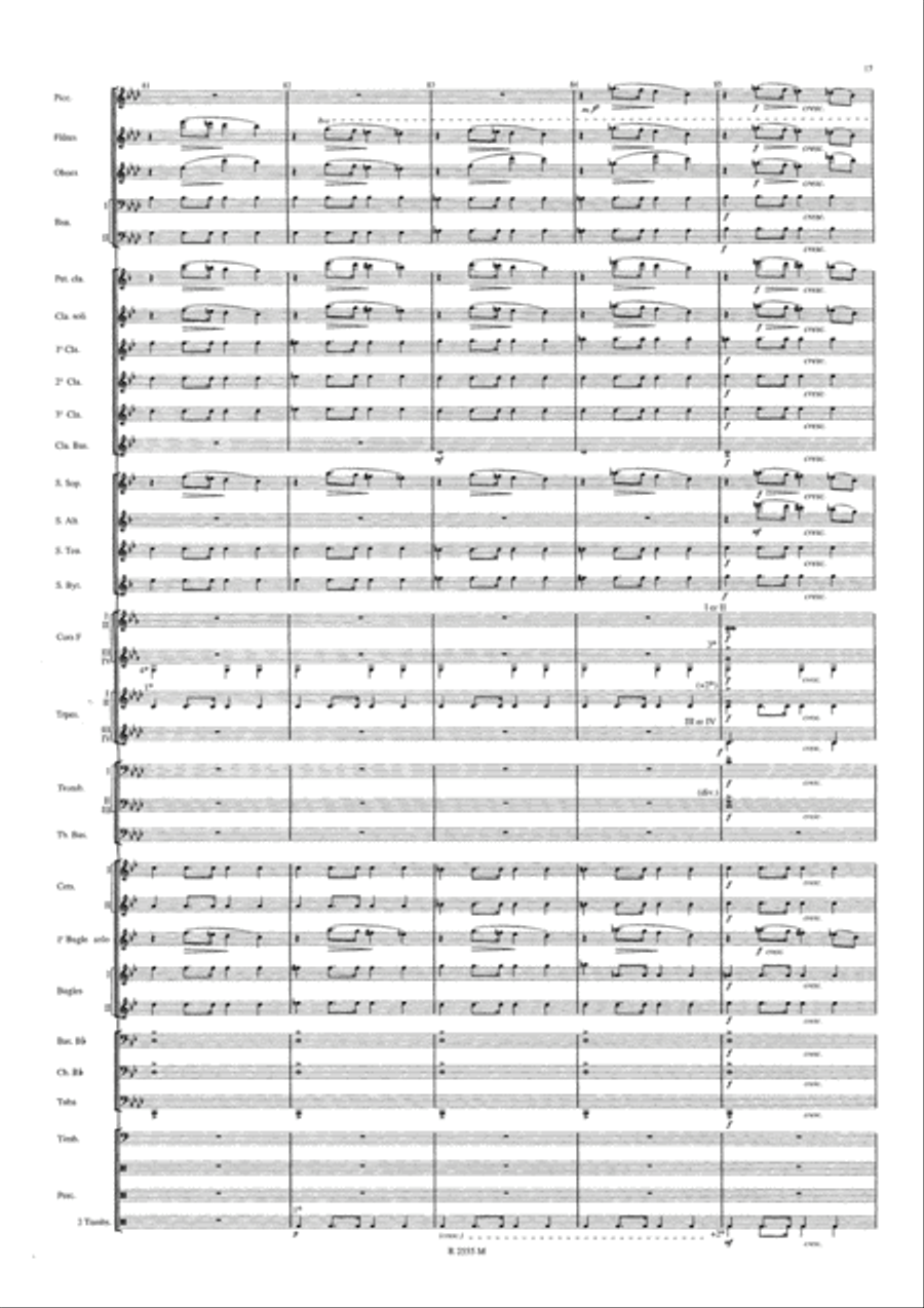 Symphonie Funebre et Triomphale Concert Band scores gallery preview page 18