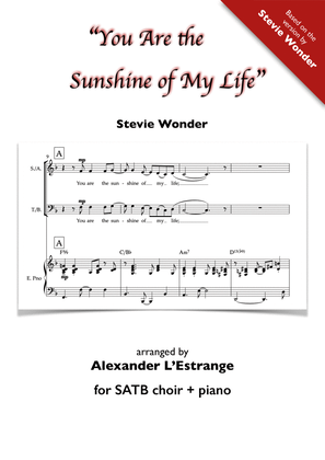 Book cover for You Are The Sunshine Of My Life