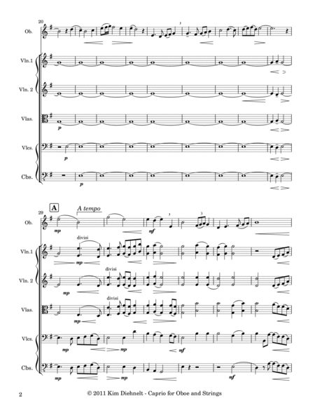 Diehnelt: Caprio for Oboe and Strings