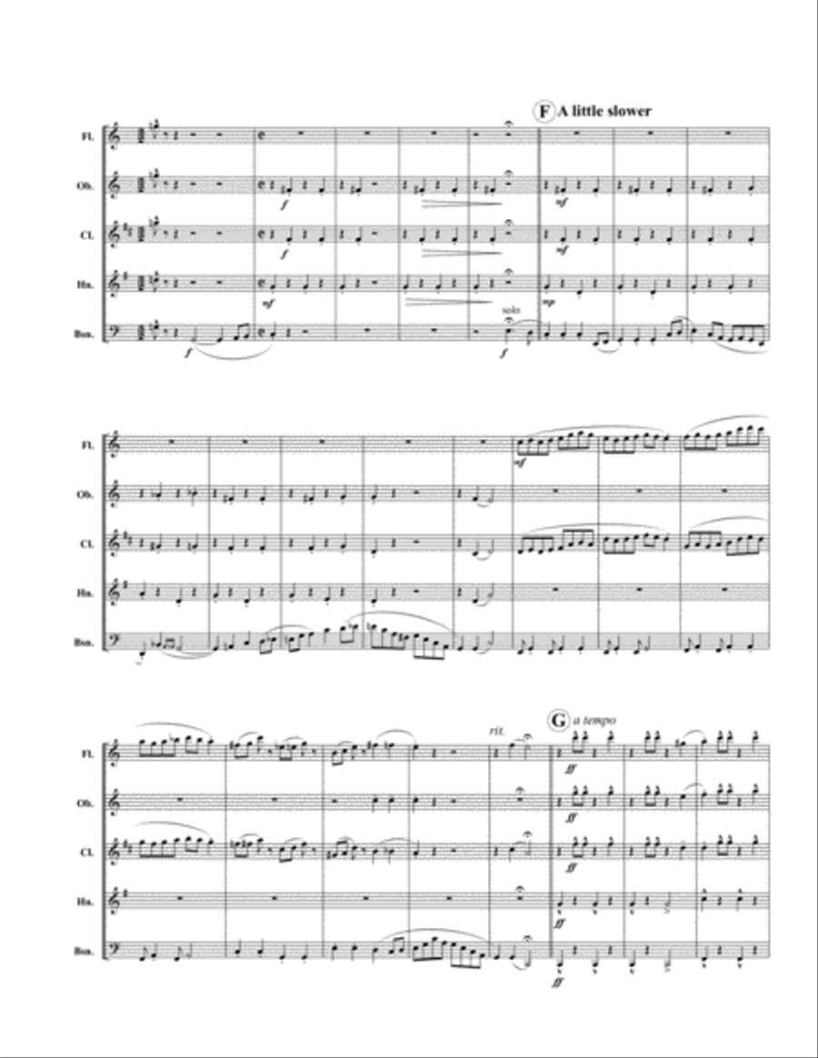 Turkey in the Straw Woodwind Quintet scores gallery preview page 3
