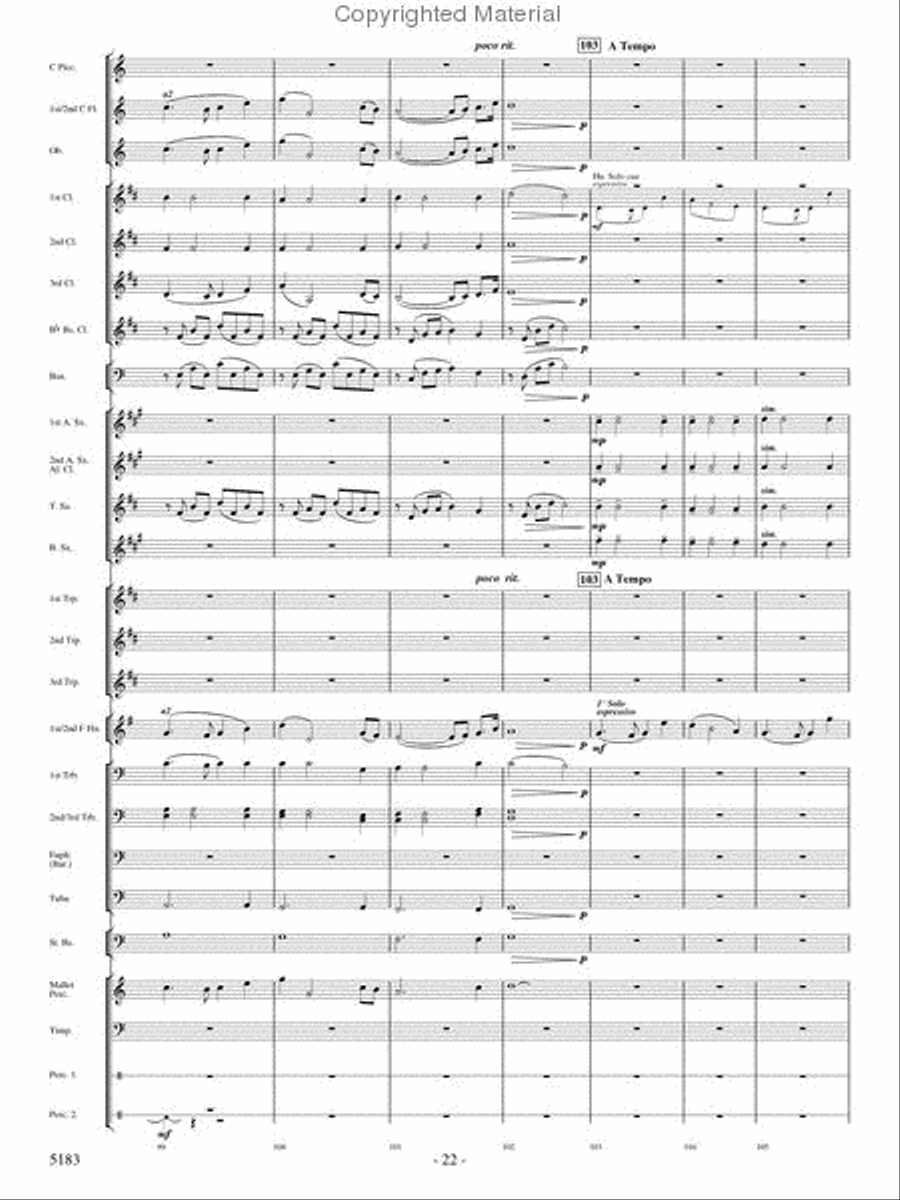 Portrait of Freedom Concert Band scores gallery preview page 21
