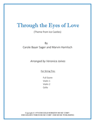 Book cover for Through The Eyes Of Love