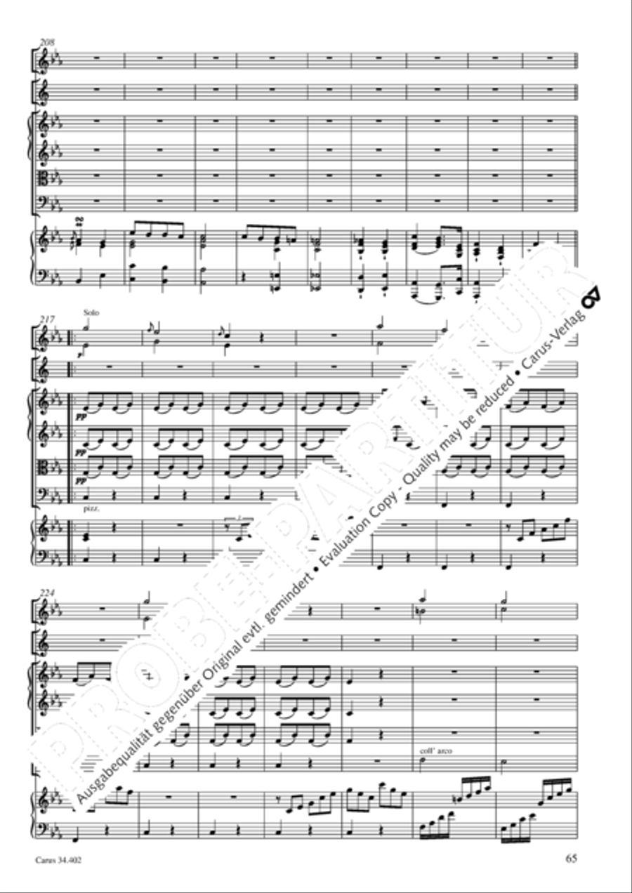 Concerto grosso for cembalo or piano Horn scores gallery preview page 66