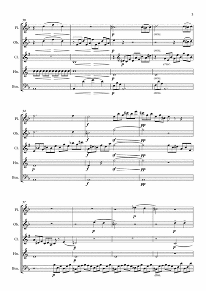 Beethoven: Piano Sonata No.14 in C# min (Sonata quasi una Fantasia) Op.27 No.2 Mvt.1. - wind quintet image number null