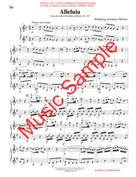 Music for Two, Volume 5 - Flute/Oboe/Violin and Clarinet