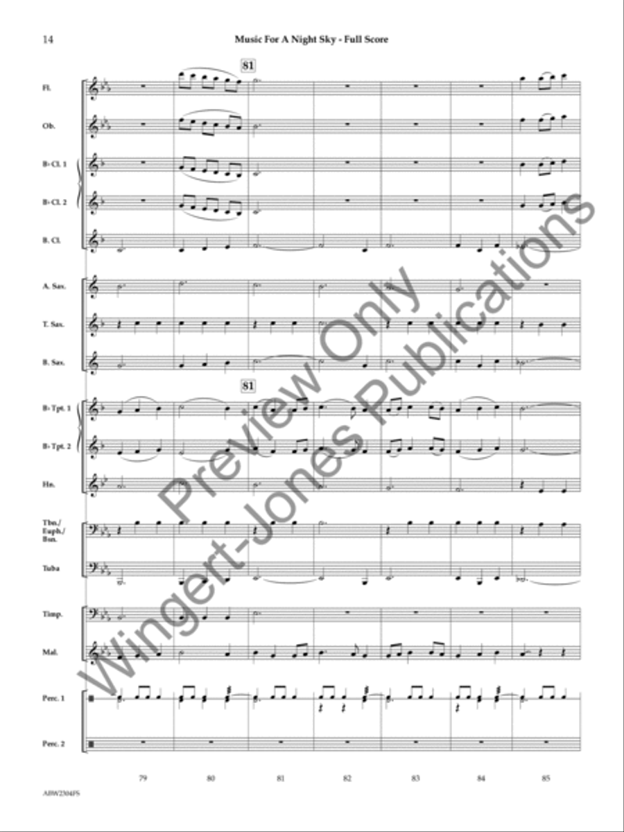 Music for a Night Sky Concert Band scores gallery preview page 15