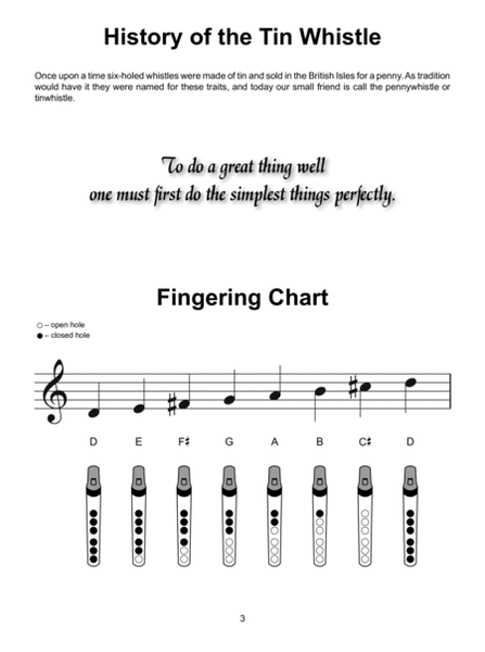 Tin Whistle for Beginners