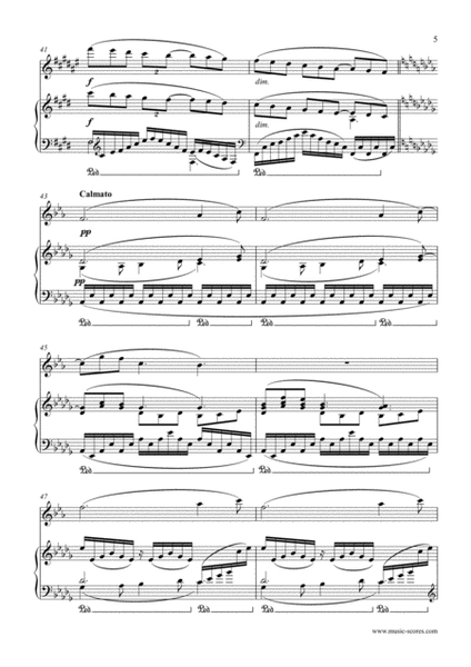 Clair de Lune - Clarinet & Piano image number null
