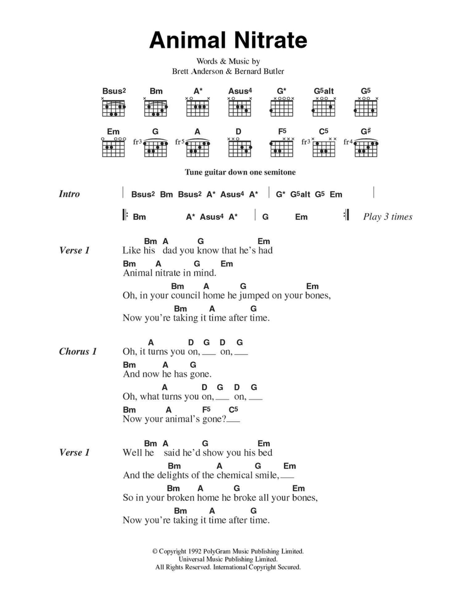 Animal Nitrate Easy Guitar scores gallery preview page 1
