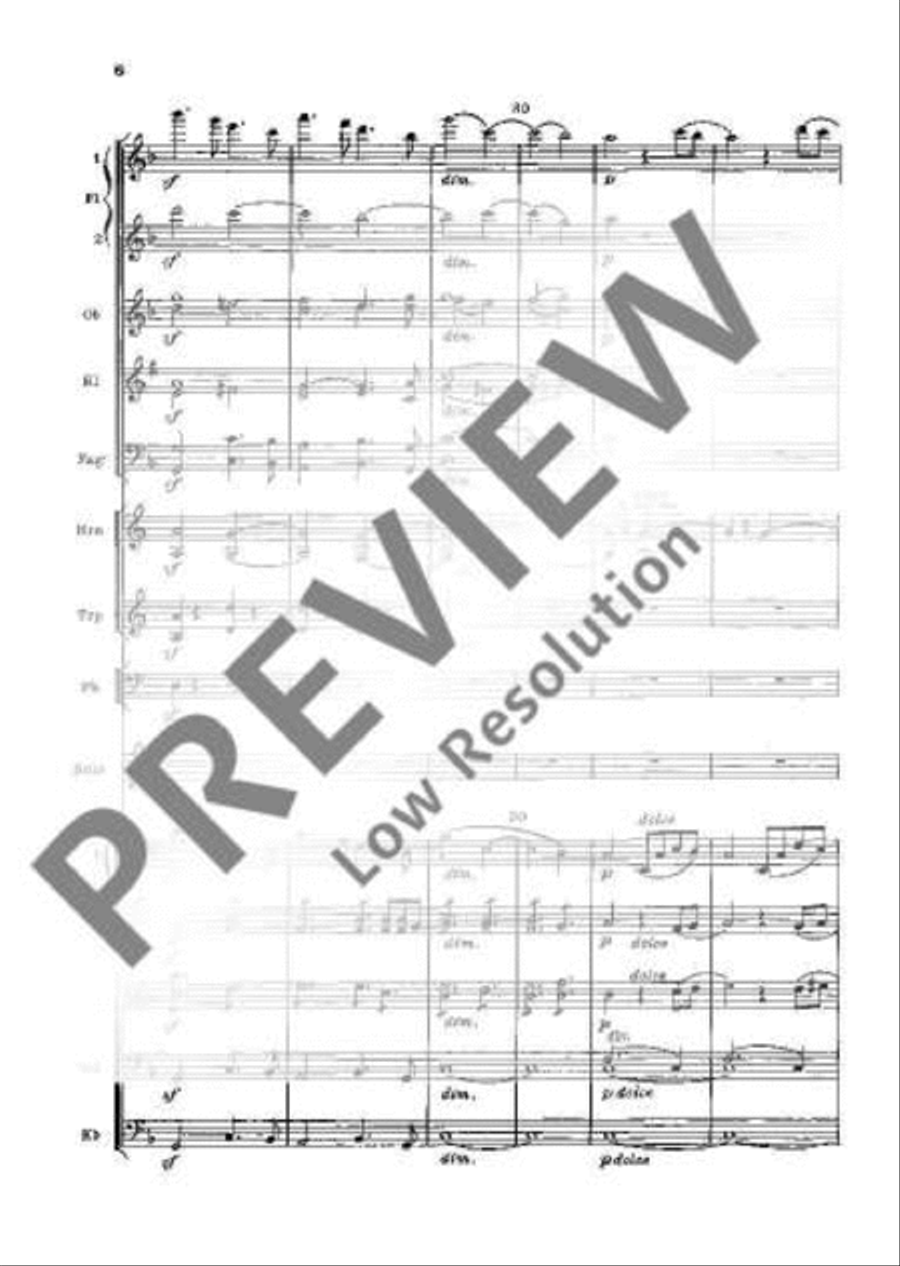 Concerto D Minor Orchestra scores gallery preview page 11