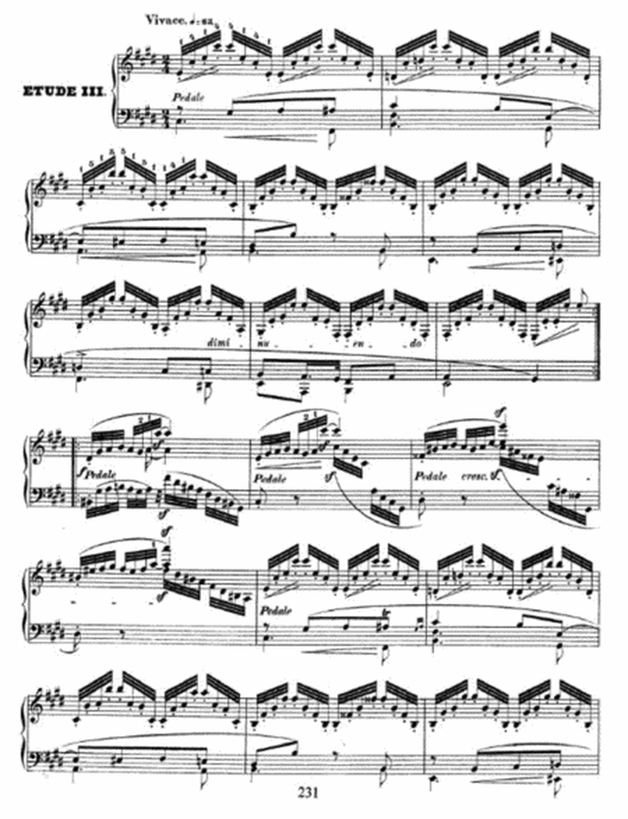 Schumann - Symphonic Etudes Op. 13