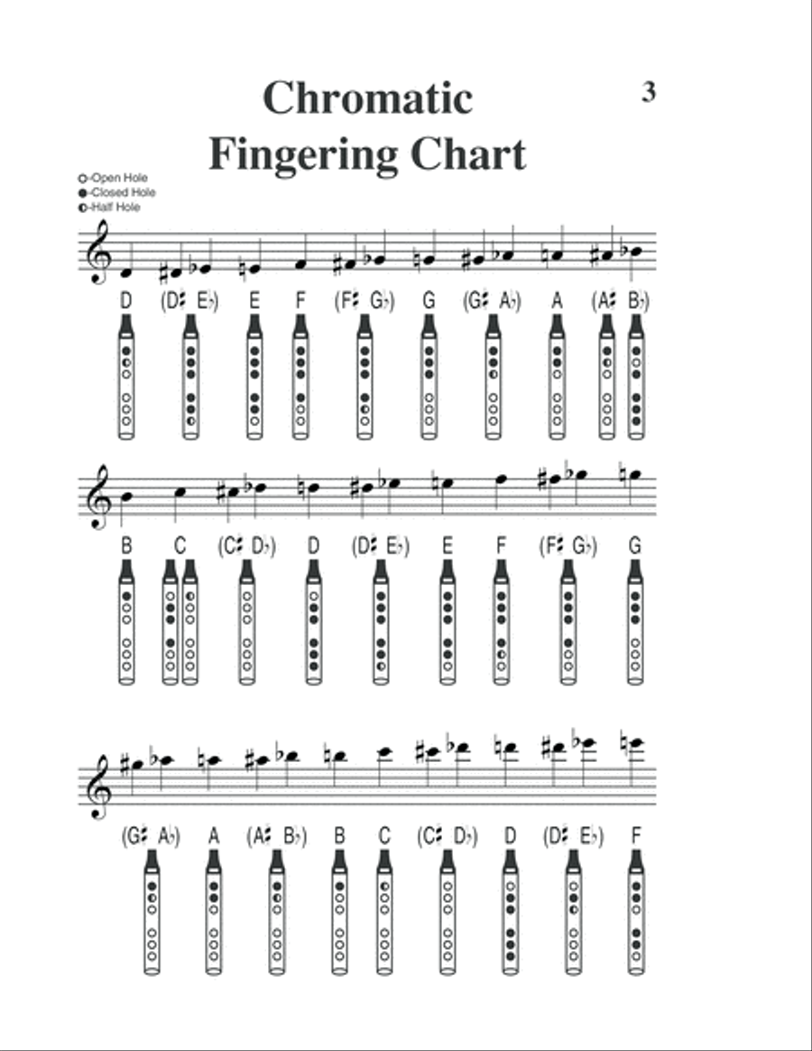 Tinwhistle Tunes Made Easy Easy Piano scores gallery preview page 4