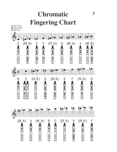 Tinwhistle Tunes Made Easy