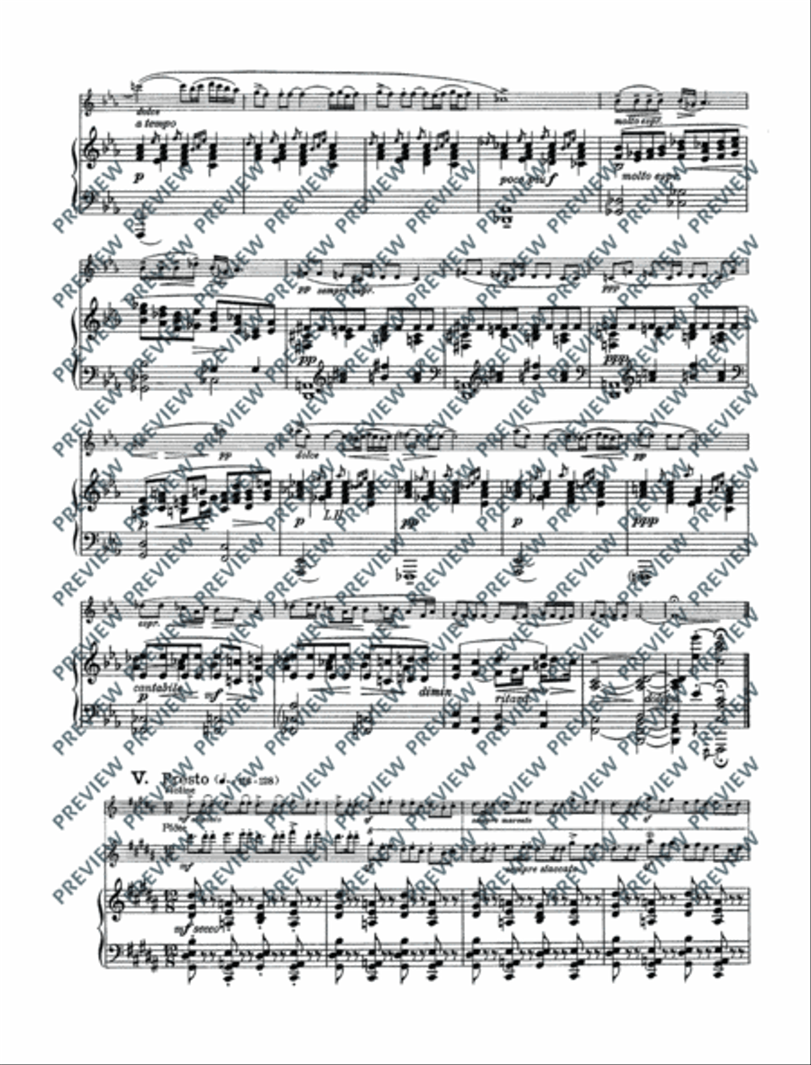 Variations on a theme by Edvard Grieg Flute Solo scores gallery preview page 13