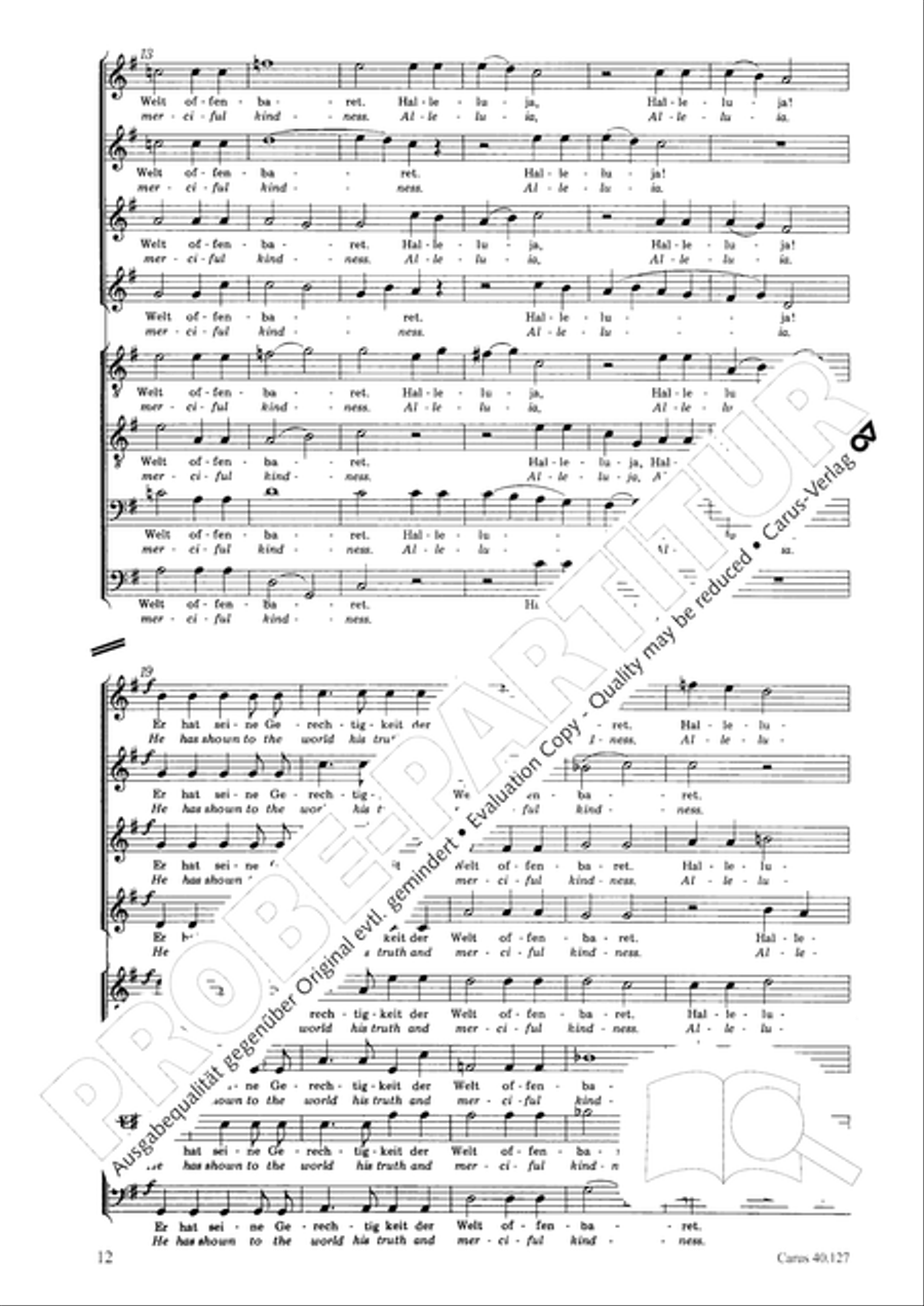Sechs Spruche zum Kirchenjahr op. 79 Score scores gallery preview page 13