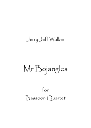 Book cover for Mr. Bojangles