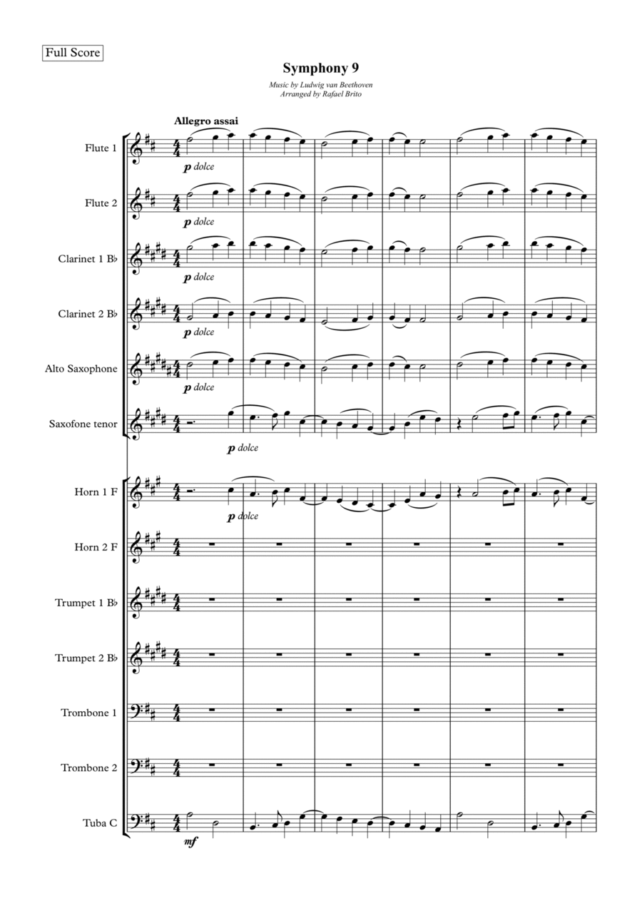 Beethoven - Ode to Joy - Symphony 9 for Wind Band Concert Band scores gallery preview page 1