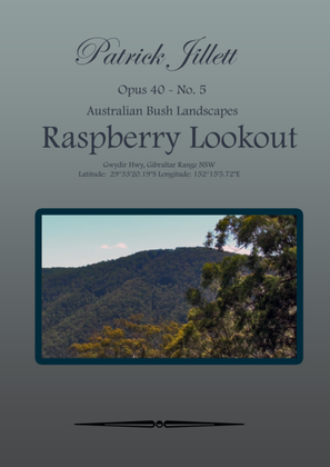 Raspberry lookout - Australian Bush Landscapes