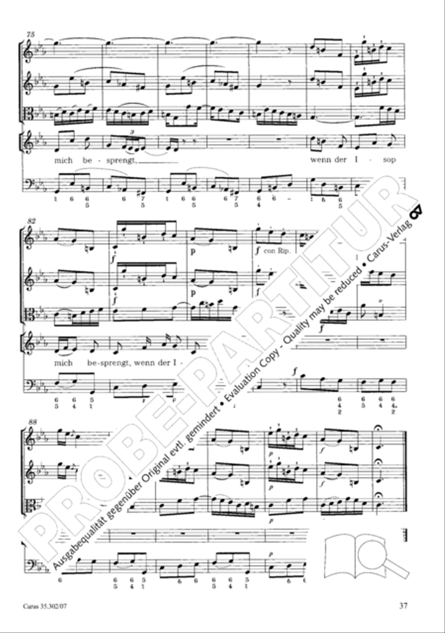 Tilge, Hochster, meine Sunden SA scores gallery preview page 50