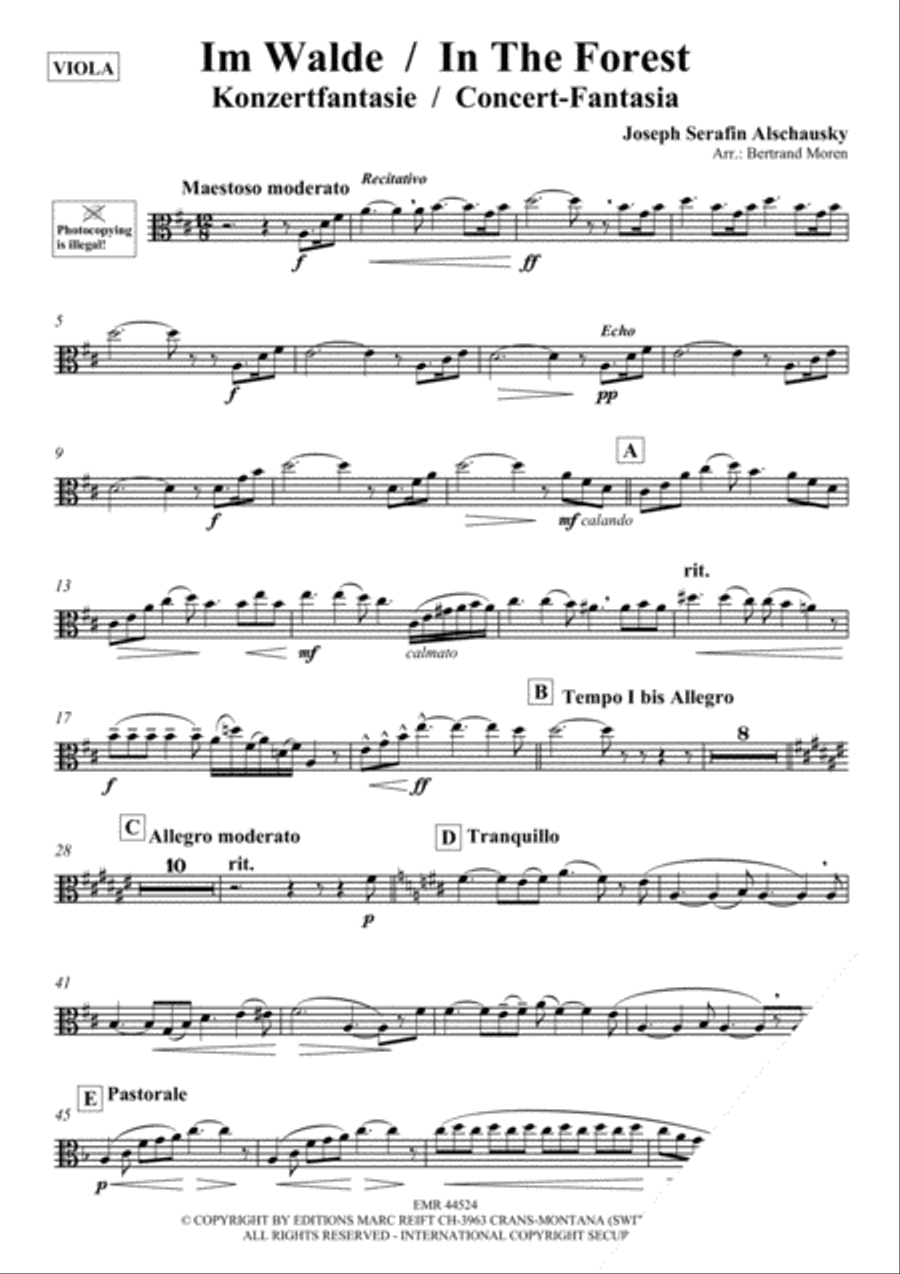 Im Walde / In The Forest Piano Accompaniment scores gallery preview page 3